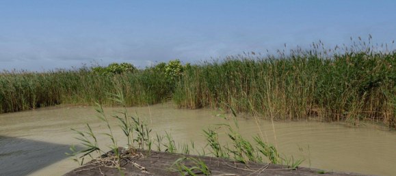 3-Zimmer Grundstück in Rust, Austria, Nr. 158386 26