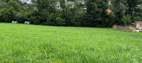  Land in Zobern, Austria No. 80421 7