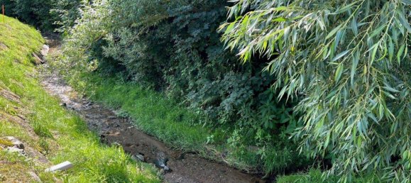  Land in Zobern, Austria No. 80421 6