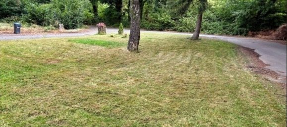 3 rooms Commercial property in Lippe, Germany No. 357889 4