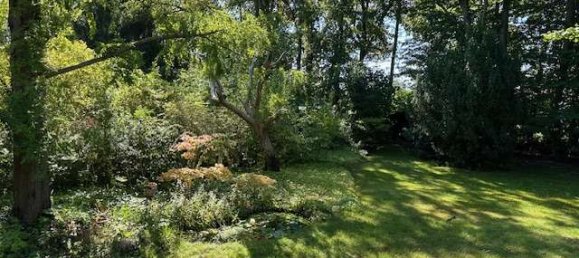 1 bedroom Bungalow in Potsdam-Mittelmark, Germany No. 313501 3