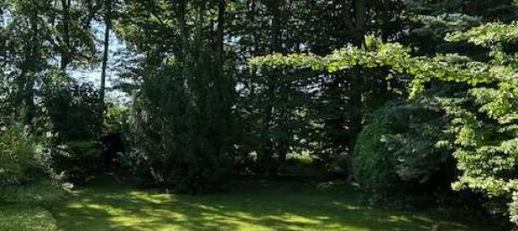 1 bedroom Bungalow in Potsdam-Mittelmark, Germany No. 313501 4