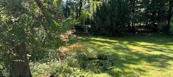 1 bedroom Bungalow in Potsdam-Mittelmark, Germany No. 313501 9