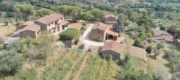 Дом с 12 спальнями в Кортона, Италия № 201 3