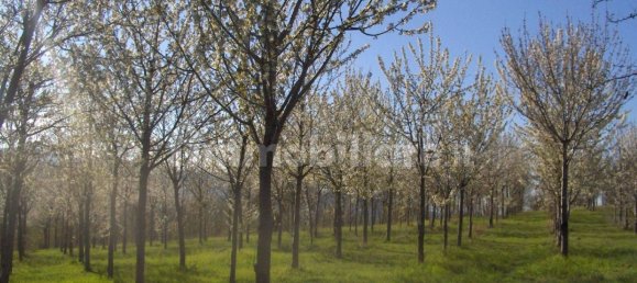 Terreno em Lentella, Italy 56880 m² N.º 296492 2