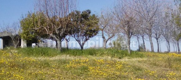 Terreno em Lentella, Italy 56880 m² N.º 296492 4