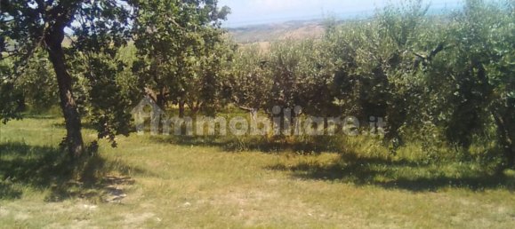 Terreno em Lentella, Italy 56880 m² N.º 296492 6
