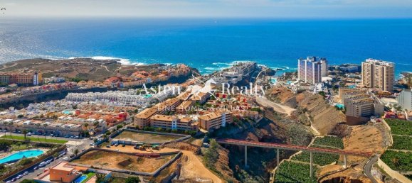 11380m² Land in Adeje, Spain No. 114779 15