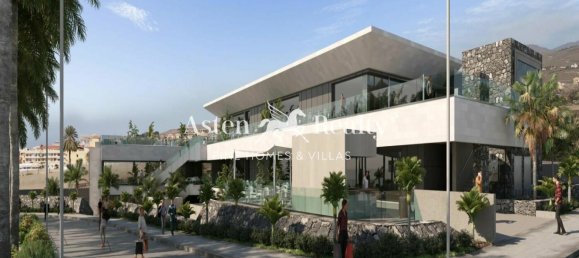 11380m² Land in Adeje, Spain No. 114779 7