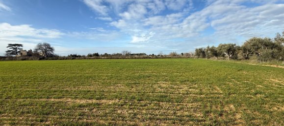 Terrain à Galatone, Italy 12625m² No. 177649 14