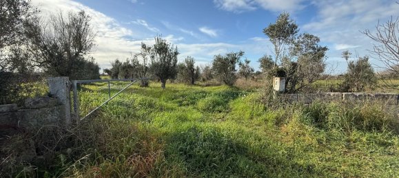 Terrain à Galatone, Italy 12625m² No. 177649 22