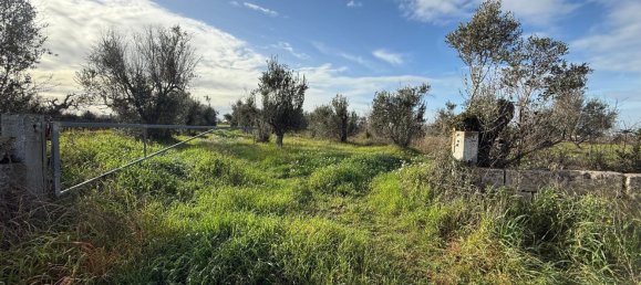 Terrain à Galatone, Italy 12625m² No. 177649 20