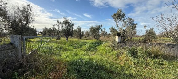 Terrain à Galatone, Italy 12625m² No. 177649 21