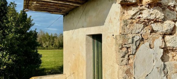 Terrain à Galatone, Italy 12625m² No. 177649 6