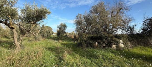 Terrain à Galatone, Italy 12625m² No. 177649 17