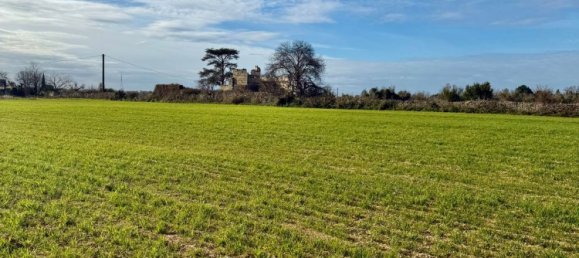 Terrain à Galatone, Italy 12625m² No. 177649 8