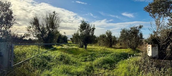 Terrain à Galatone, Italy 12625m² No. 177649 19