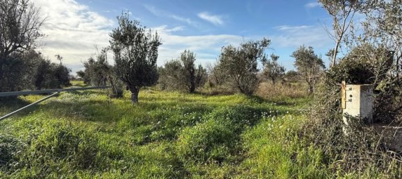 Terrain à Galatone, Italy 12625m² No. 177649 18