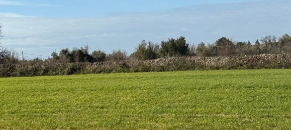 Terrain à Galatone, Italy 12625m² No. 177649 11