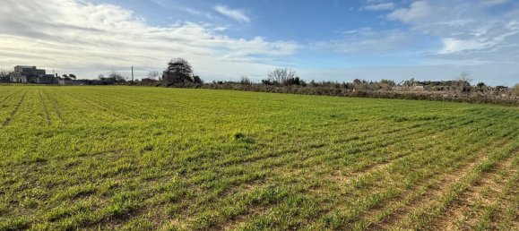 Terrain à Galatone, Italy 12625m² No. 177649 15