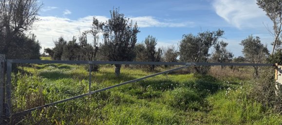 Terrain à Galatone, Italy 12625m² No. 177649 7