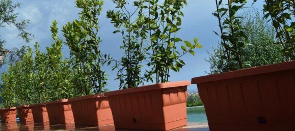 14-Zimmer Haus in Castelnuovo Magra, Italy, Nr. 89981 4