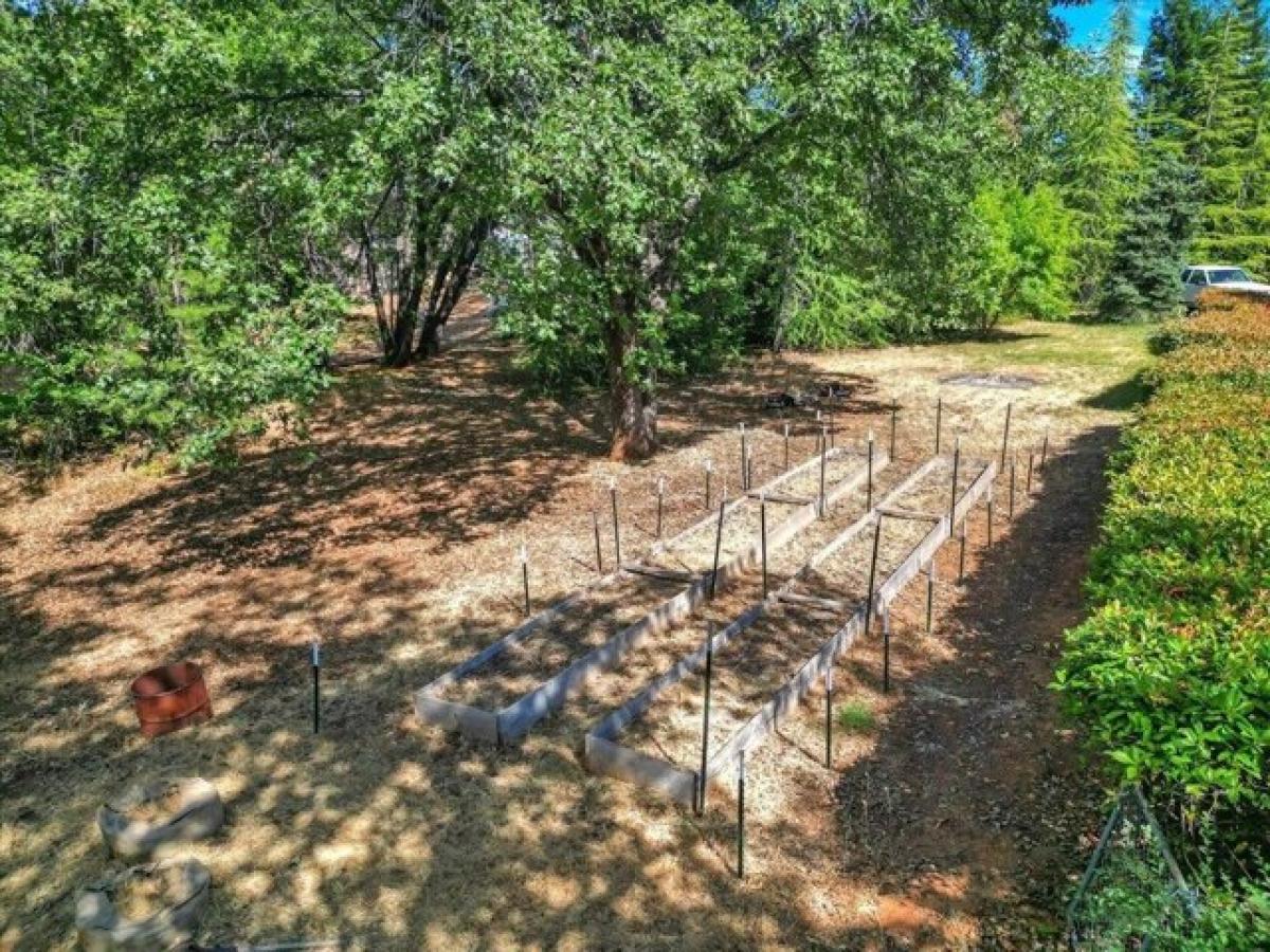 3 bedrooms House in Grass Valley, USA No. 379387