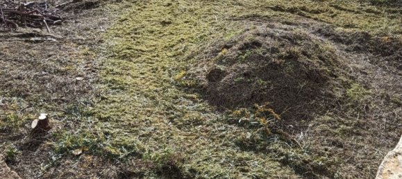 Grundstück in Estepona, Spain, Nr. 156164 12