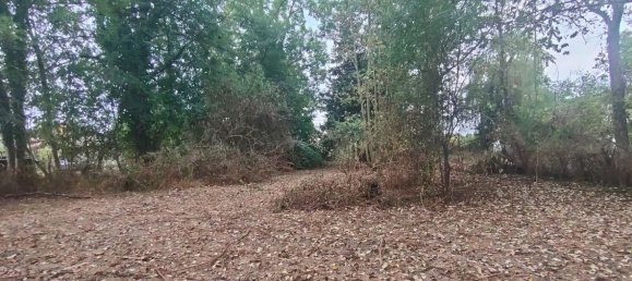 Дом с 1 спальней в Пюи-де-Дом, Франция № 340367 14