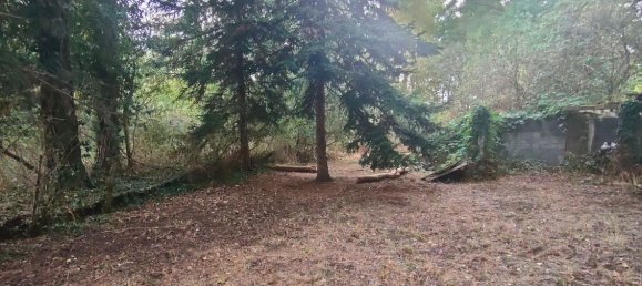 Дом с 1 спальней в Пюи-де-Дом, Франция № 340367 13