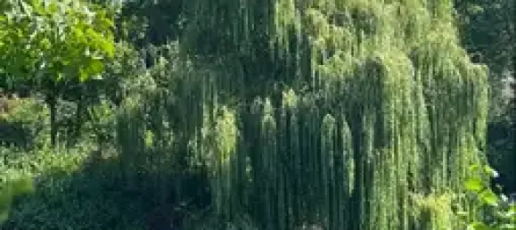 2 bedrooms Duplex in Hildesheim, Germany No. 74883 37