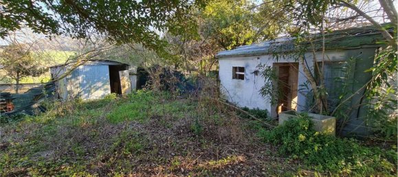 8-Zimmer Haus in Ancona, Italy, Nr. 173413 16