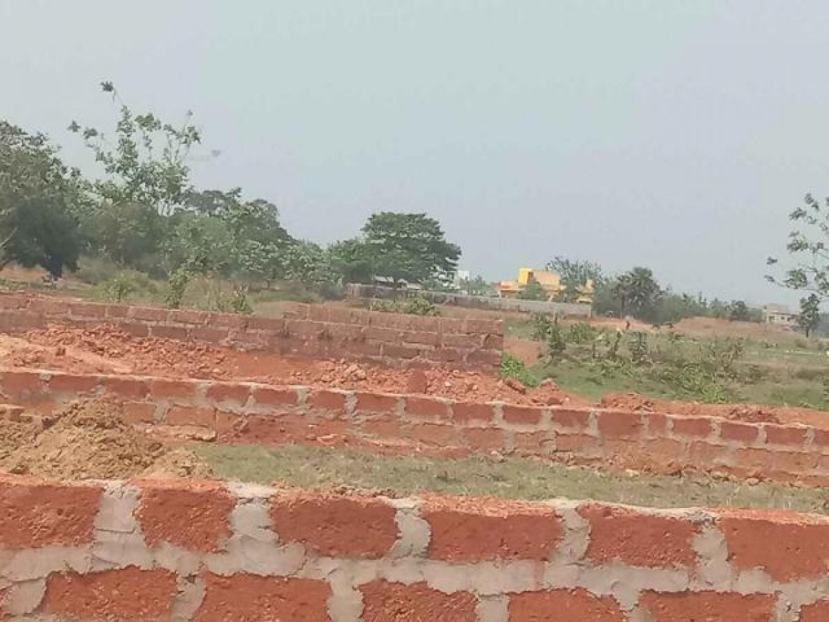 Terrain à Bhubaneshwar, India No. 65963