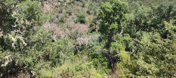 Terreno de 3 dormitorios en Monchique, Portugal No. 151596 16