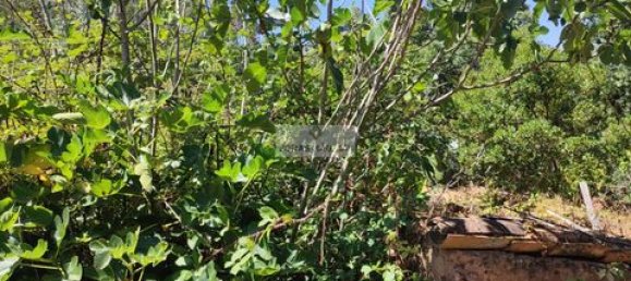 Terreno de 3 dormitorios en Monchique, Portugal No. 151596 14