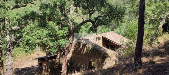 Terreno de 3 dormitorios en Monchique, Portugal No. 151596 6