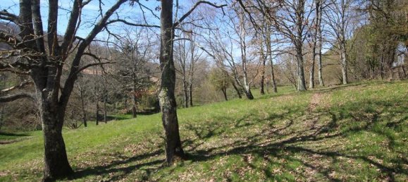 9 bedrooms Castles in Lavelanet, France No. 360858 12