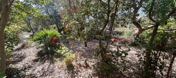 Villa de 3 dormitorios en Martina Franca, Italy No. 363718 17