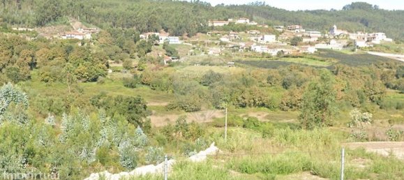 9 bedrooms House in Penafiel, Portugal No. 66577 21