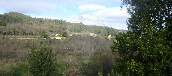 9 bedrooms House in Penafiel, Portugal No. 66577 14