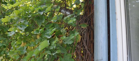 Casa de 4 dormitorios en Gifhorn, Germany No. 321512 31