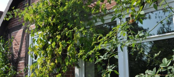 Casa de 4 dormitorios en Gifhorn, Germany No. 321512 35