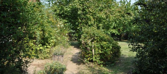 Casa de 4 dormitorios en Gifhorn, Germany No. 321512 19