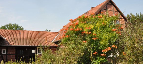 Casa de 4 dormitorios en Gifhorn, Germany No. 321512 15