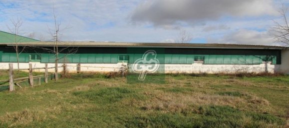 1820m² Warehouse in Zamora, Spain No. 77459 2