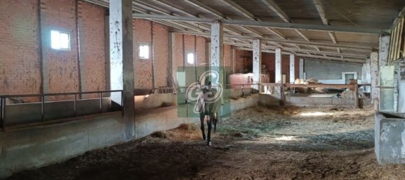 1820m² Warehouse in Zamora, Spain No. 77459 9