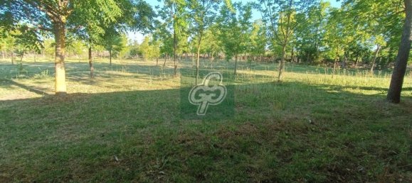 1820m² Warehouse in Zamora, Spain No. 77459 11