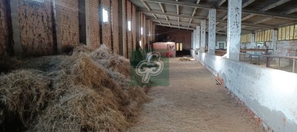 1820m² Warehouse in Zamora, Spain No. 77459 8