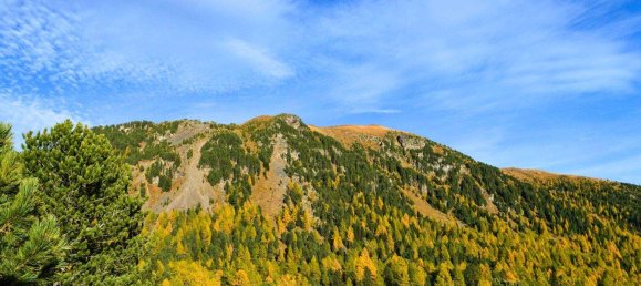 6 rooms House in Reichenau, Austria No. 218749 6