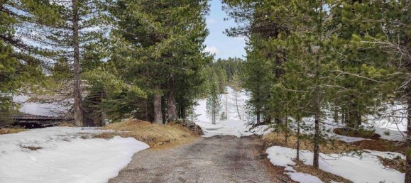 6 rooms House in Reichenau, Austria No. 218749 45